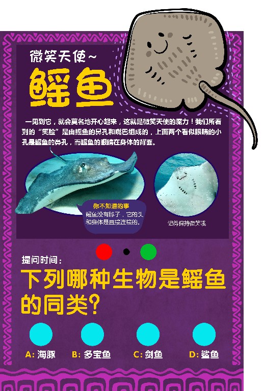 桂林融創(chuàng)-海洋科普 (知識點(diǎn)設(shè)計(jì))